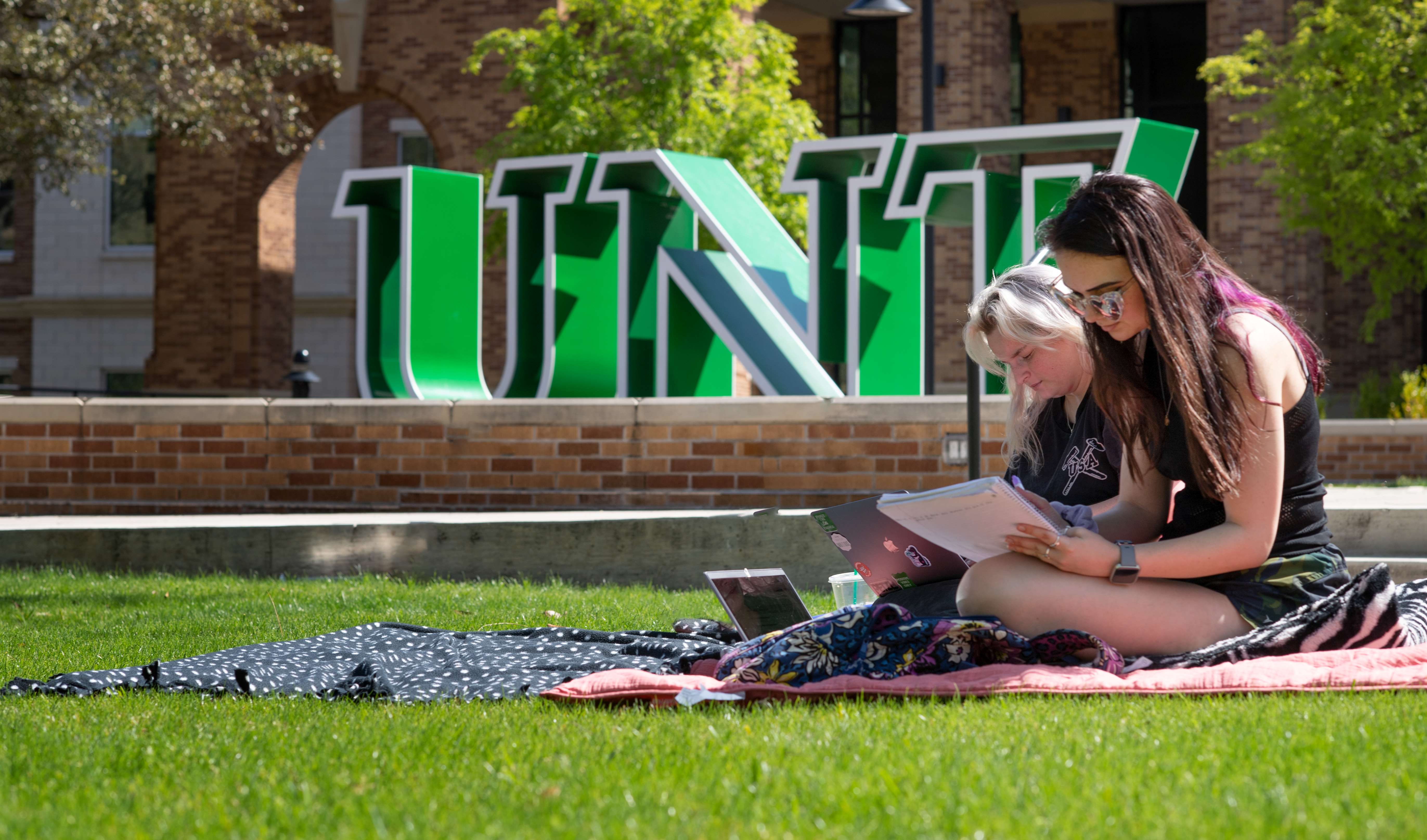 Two students studying on lawn in front of UNT sign