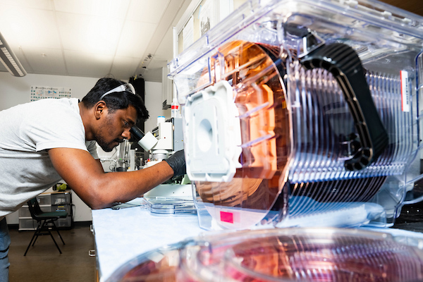 Student researcher working in Oliver Chyan's lab