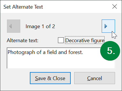Screen capture of Adobe Acrobat, showing Set Alternate Text window with its various options.