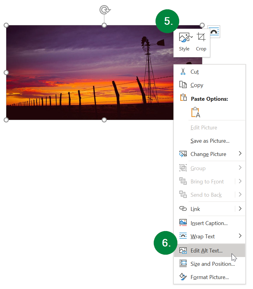 Screen capture of image in Microsoft Word and the right-click menu.