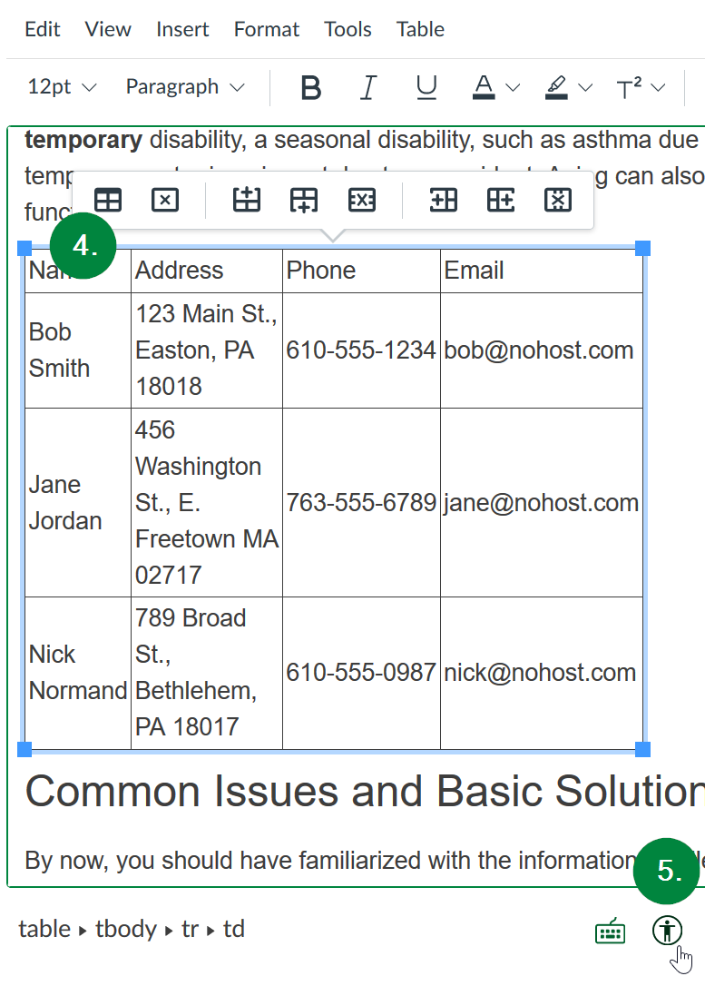 Screen capture of Canvas, showing location of "Check Accessibility" button in toolbar