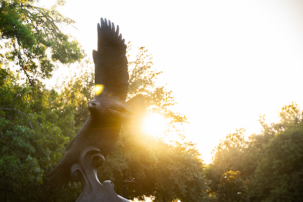 UNT Bronze Eagle statue