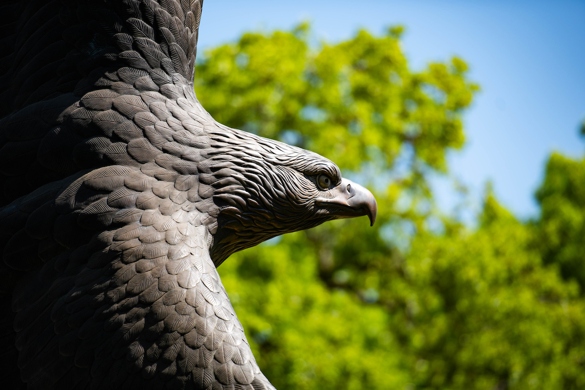 UNT campus Bronze Eagle sculpture