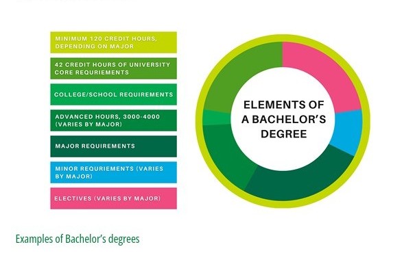 photo of a generic degree breakdown