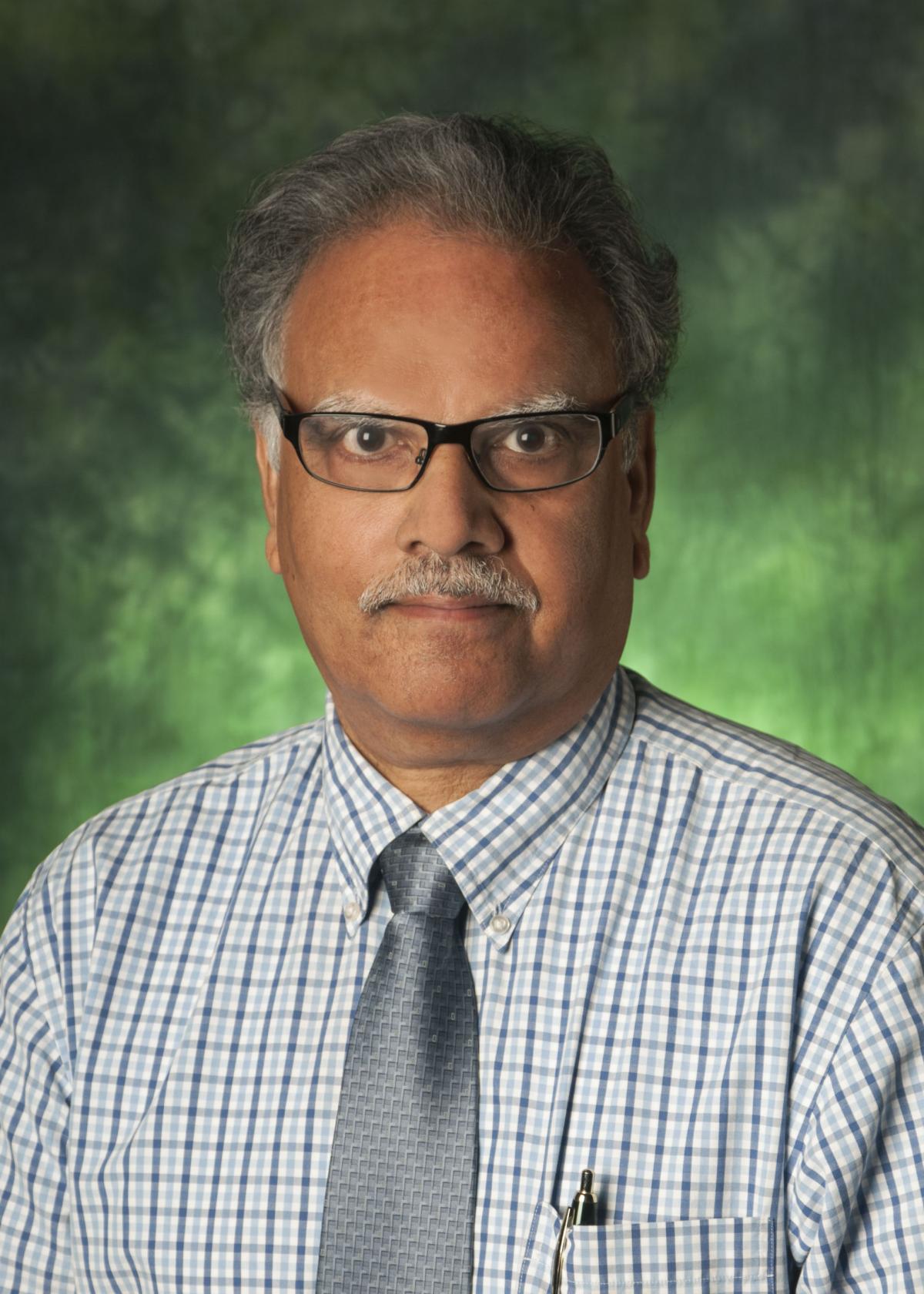 2019 Regents Professor Award Winner, Krishna Kavi
