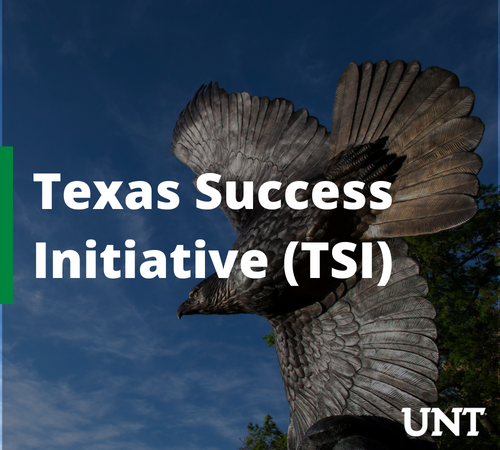  Texas Success Initiative