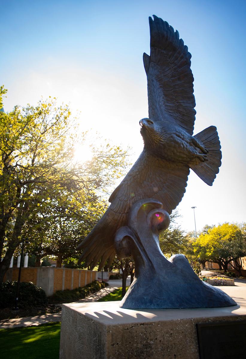 UNT Eagle Statue