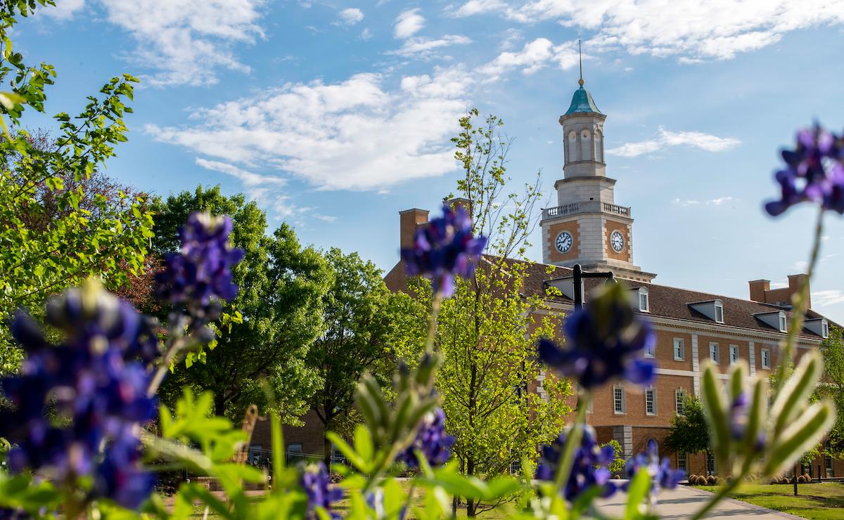 Hurley Admin Building surrounded by spring flowers