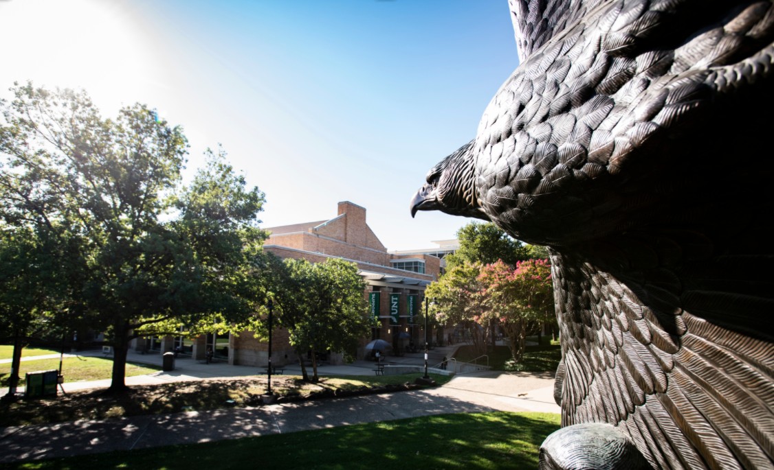 TAMS Advising